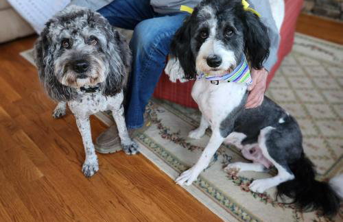 The Manor at Becks Lake - Foto 41