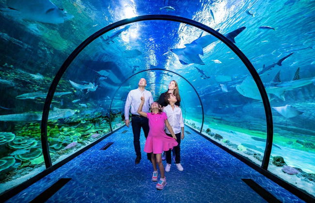 Entrada al Acuario Nacional de Abu Dhabi - Foto 1