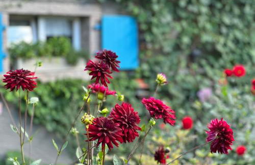 Backhüsli am Bauerngarten - Foto 34