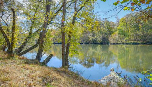 French Broad River Access Whimsical Gem with Deck - Foto 3