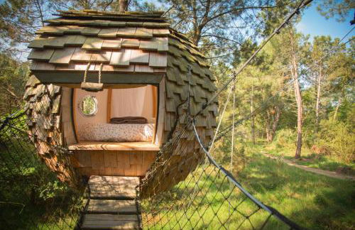 Dihan Evasion - Foto 26