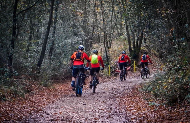 The Garden Chalet - Foto 15