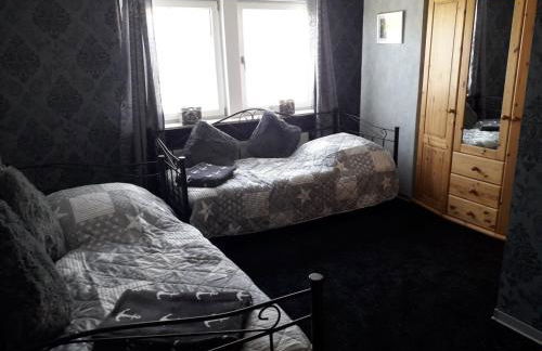 Rhumeblume - Foto 13