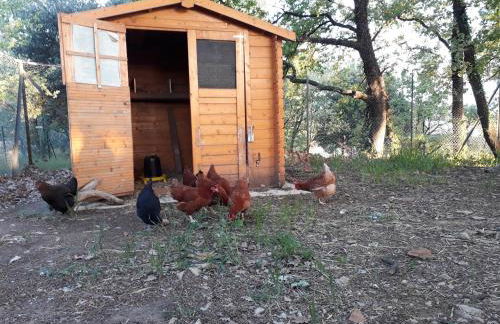 LES 3 HIRONDELLES - Foto 31