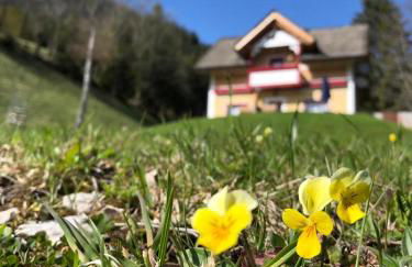 Baita Alpenrose - Photo 16