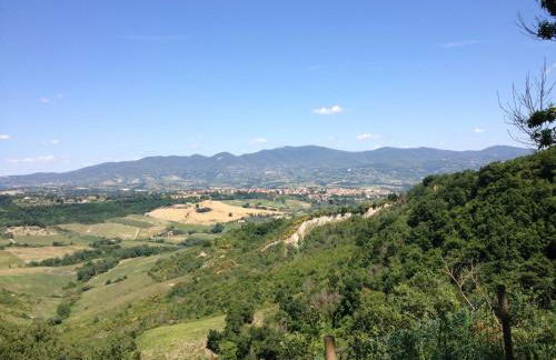 Podere Porcino - Foto 21