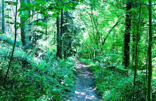 Private Loft Country Hideaway - Foto 28