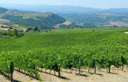 Agriturismo Fattoio alle Ripe - Photo 54