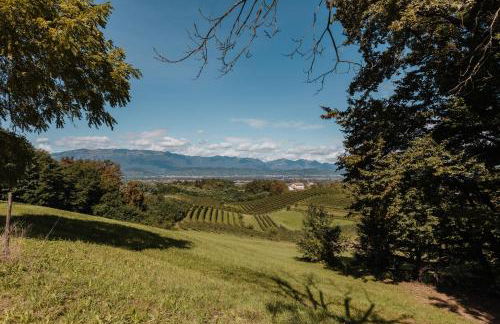 Agriturismo P rato Fiorito - Foto 2