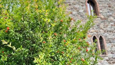 Agriturismo Casa di Nàno - Foto 3