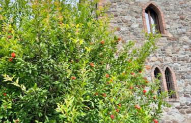 Agriturismo Casa di Nàno - Foto 3