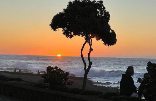 Hola ola Bajamar - Foto 15