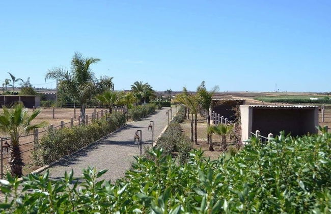 Koheilan Oriental Lodge Farm - Photo 22