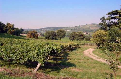 Villa Sogara - Foto 34