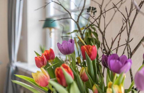 Ferienhaus Kiebitz - Foto 13