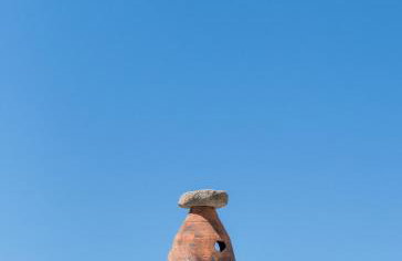 SempreViva - Foto 64