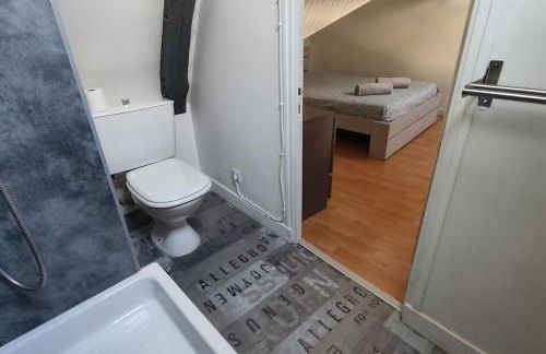 Hypercentre, proche halage et rue principale - Foto 15