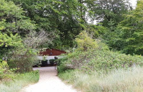 Kleiner Bungalow - Zum Strand 50m - Foto 6