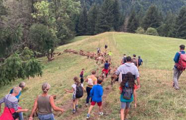 Le pied des pistes, studio 5 pers, balcon sud est, vue sur les montagnes - Foto 4