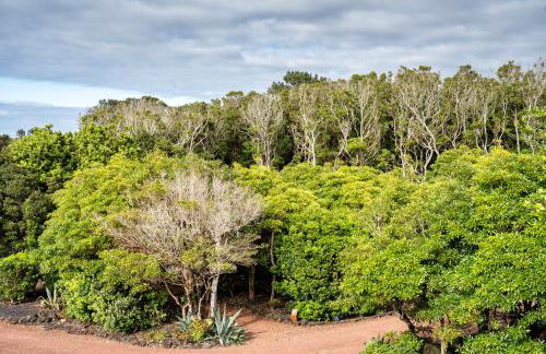 Alma do Pico - Nature Residence - Photo 72