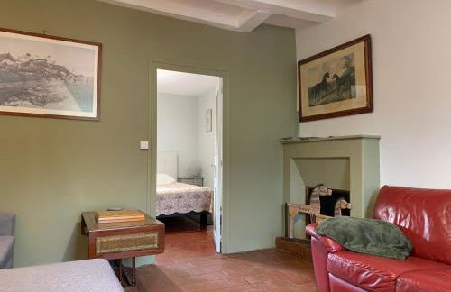 Les Amis de Beauval - Photo 10