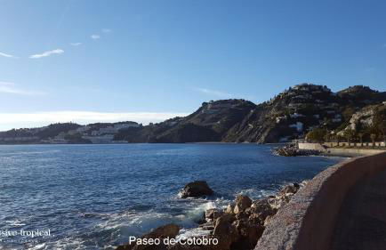 Los Cipreses - Casa Ola - Foto 24