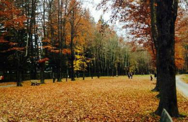 Casa Rural Mollo, Vall de Camprodon - Foto 78