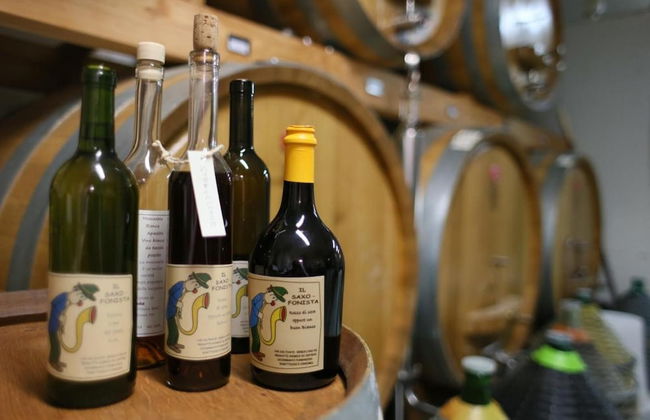 Agriturismo La Burlanda - Foto 28