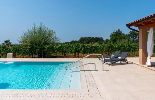 Vitis Apartment Istra - Foto 46