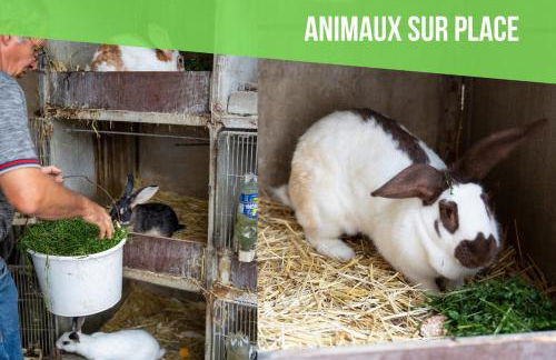 Chez Marguerite Gîtes à la ferme - Foto 21