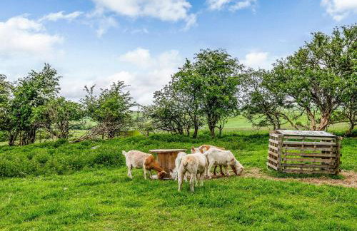 Foxglove - Uk37639 - Photo 18