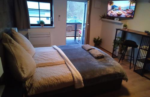 Forest Hill Travel &Work Nettes Apartment mit privatem Eingang Birkenau Mannheim Weinheim Heidelberg - Foto 1