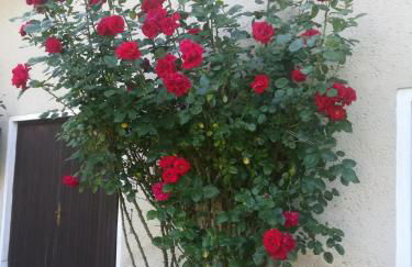 Ferienwohnung Hellriegel - Foto 23