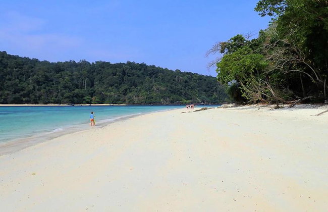 Escursione di un giorno a Koh Rok e Koh Haa - Foto 1