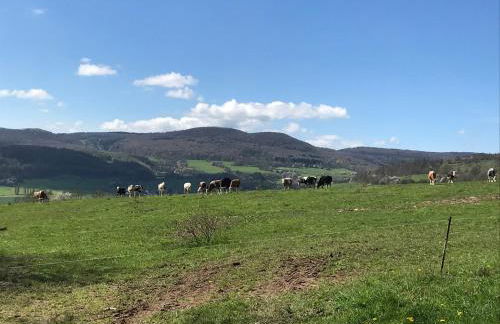 Rhön - Nestchen - Foto 23