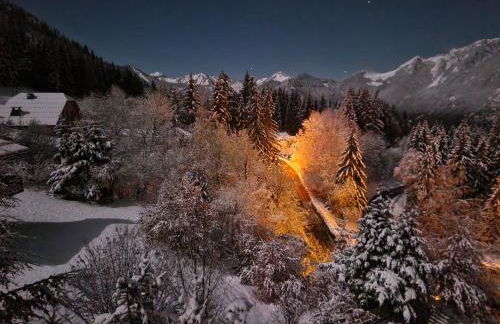 Alpine 1 bed Chalet with beautiful views - Foto 1