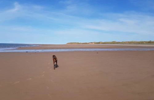 Cosy, coastal cottage- Beach, Pub and shop nearby - Foto 24