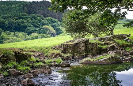 Hapus Yurt - Two Beautiful Yurts and Barn Cottage - Foto 81