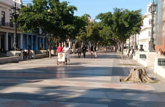 Apartment in Havana with terrace - Photo 55