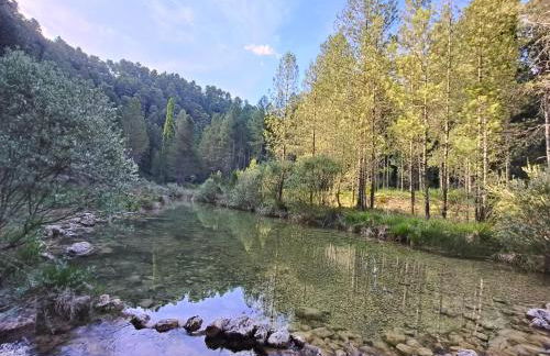 La Guijarroseña , Rio Madera - Foto 18