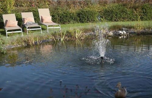 Vakantiewoning in Zwarte Woud - Foto 37