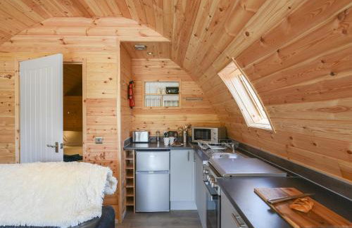 Barcud Coch - Uk44539 - Foto 5