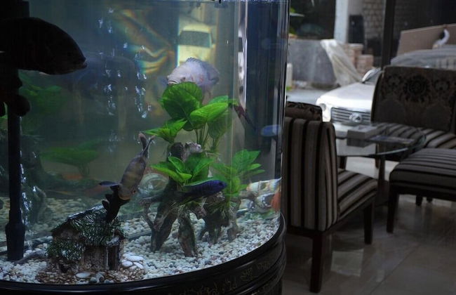 HAVEN TOWER - Foto 14