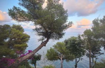 Villa Cokkinis - Foto 34