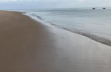La possibilité d’une île - Foto 14