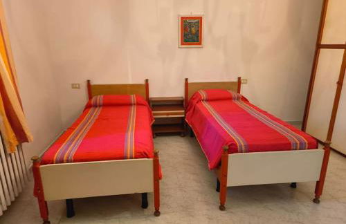 La lepre nella Luna - Foto 23