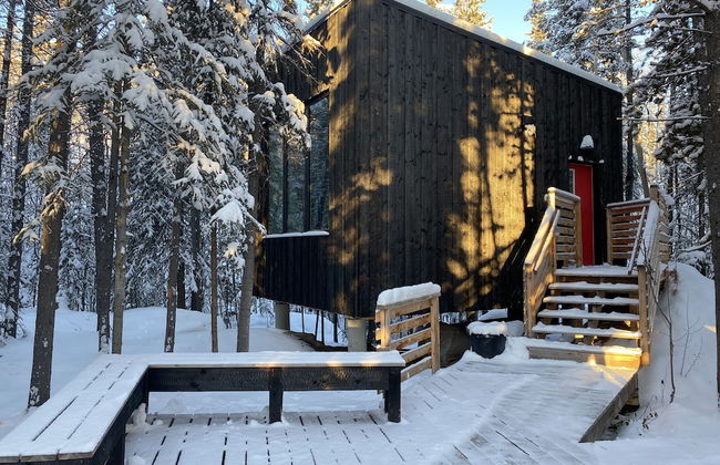 Yukon Black Spruce - Foto 2