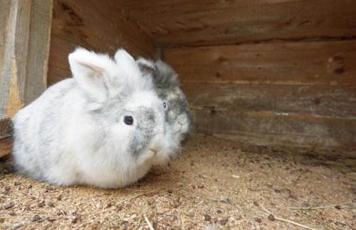 Zum Fürst`n - Foto 76