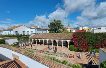 Patio del Lino - Photo 31