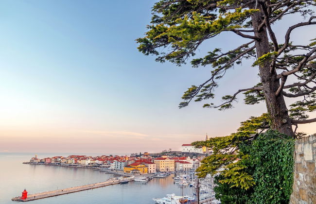 Apartments Vila Piranesi - Foto 27